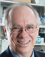 Kevin P. Campbell, Ph.D.